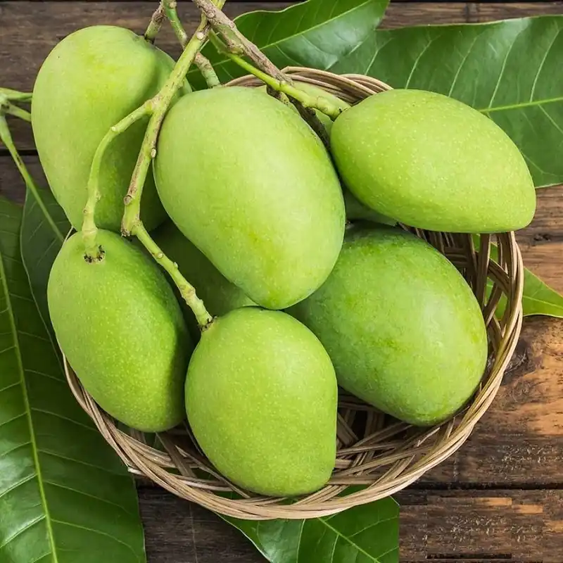 Arka Puneet Mango (આર્કા પુનીત કેરી)